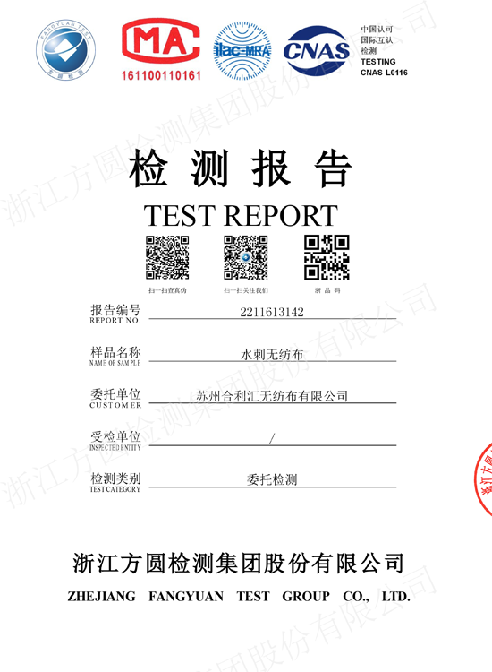 Raport de testare